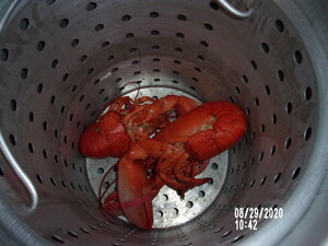 100_0055.JPG