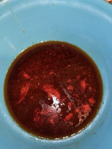 CE925353-D35A-4D3B-9B94-7F760FD1BD1B.jpeg