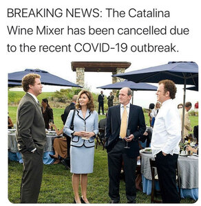 wine-mixer-has-been-cancelled-due-to-covid-19-meme.jpg