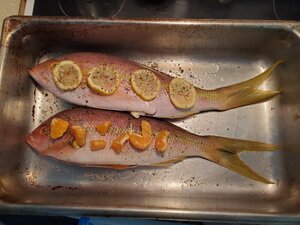 20200901_134620.jpg