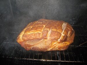 IMG_1130.JPG