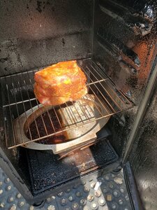 20200906_134747.jpg