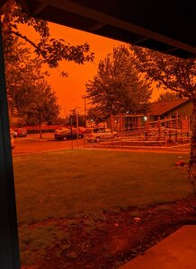 IMG_20200908_114348.jpg
