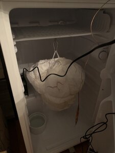 ham1.jpg
