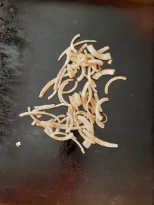 20200916_163336.jpg