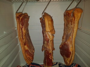 20200707_162452.jpg