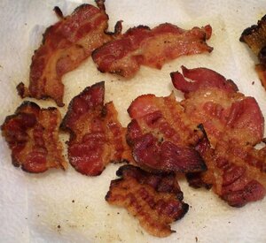 3b65f37e_july2012bacon023.jpg