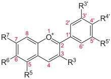 220px-Anthocyanidine.svg.png