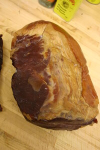 22515517_497.jpg