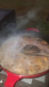 20201011_185923.jpg
