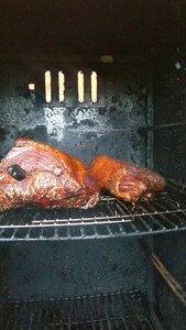 cured and smoking.jpg