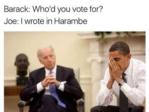 person-barack-whod-vote-joe-wrote-harambe.jpg