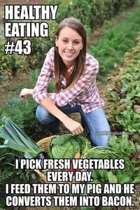 466919-07ae477a0f62f42f9d4bc7a197caf429.jpg
