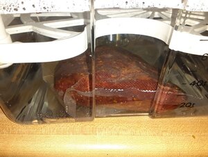 20201101_105659.jpg