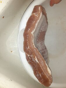 20201101_110347.jpg