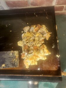20201101_093216_resized.jpg