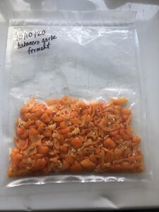 95E967FA-35CE-4CF5-8C4B-B8D92D42BDF8.jpeg