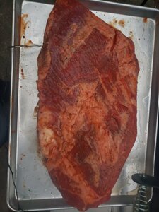 20201103_061952_resized.jpg
