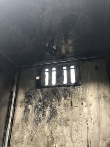 59F1D754-6549-4E68-B81C-515C4712CA41.jpeg