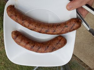 20201108_131335.jpg