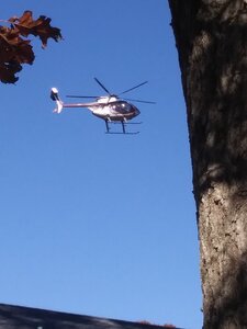 20201109_130807.jpg