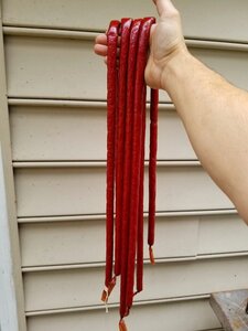20201110_130957.jpg