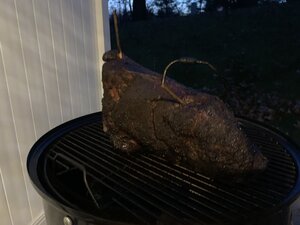 IMG_3313.jpg