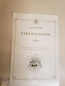 olive cert.jpg