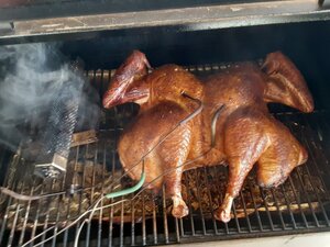 20201127_132813.jpg 20201127_132813.jpg