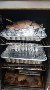 20201126_114819.jpg