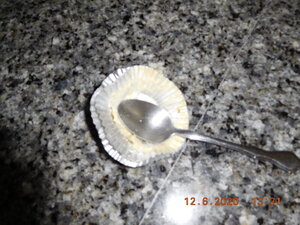 DSCN0647.JPG