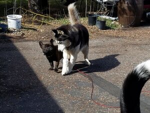 20190502_162231.jpg