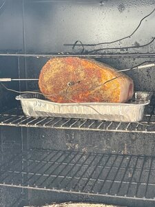 IMG_2126.jpg