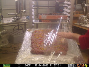 PRMS0030.JPG PRMS0030.JPG