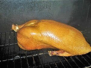 IMG_1452.JPG IMG_1452.JPG