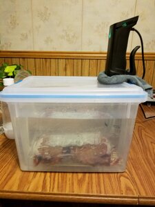 Why You Should Cover and Insulate Your Sous Vide Container – Stefan's  Gourmet Blog