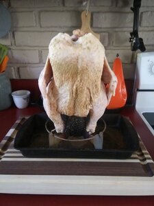 20201213_111714.jpg