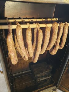 20201228_094549.jpg