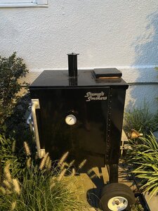 IMG_1231.jpg