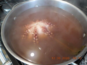 DSCN0739.JPG