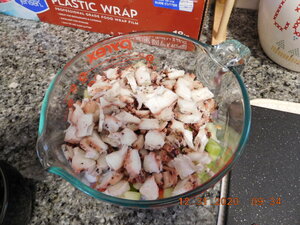 DSCN0745.JPG