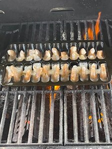 IMG_2198.jpg