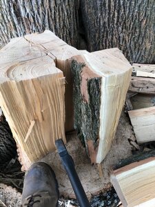 IMG_2880.jpg