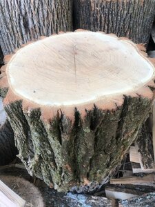 IMG_2883.jpg
