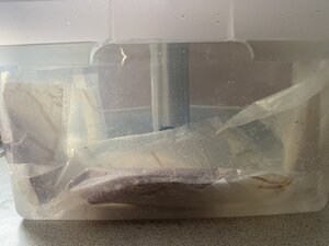 C2879FE6-E459-4E4E-8067-8D4D17EFF6D9.jpeg