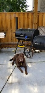 20180630_115125.jpg