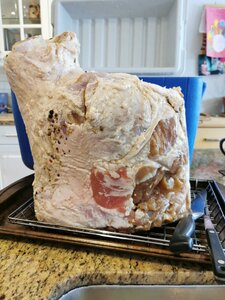 IMG_20210131_102219.jpg