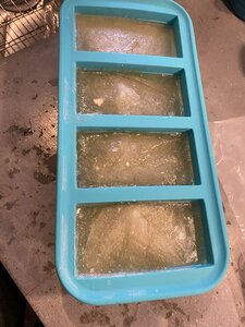 50646539521_5e4cc97fa7_c.jpg 50646539521_5e4cc97fa7_c.jpg