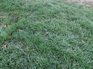 20210207_094713.jpg 20210207_094713.jpg