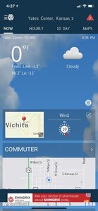 cold 1.jpg